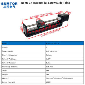 Plomo de 8MM, 100/<span class=keywords><strong>150</strong></span>/200/250/300MM, tornillo de carrera, Módulo lineal, Riel de guía, movimiento lineal, Riel de guía lineal Cnc - Product Image 2