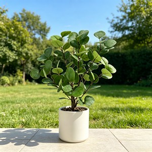 <b>Artificial</b> Eucalyptus <b>Tree</b> for Living Room Floor Simulation - Product Image 4