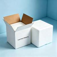 Boîtes d'expédition isothermes en mousse, cartons de transport en polystyrène pour la chaîne du froid, emballages isolants blancs