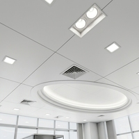 Tuiles en aluminium suspendues par 60x60 de plafond en métal pour des centres commerciaux et des immeubles de bureaux