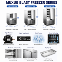 Congélateur rapide commercial MUXUE, direct usine, 3/5/6 plateaux, 1 porte, -40°C ° Réfrigérateur à congélation rapide pour pâte à pâtisserie de boulangerie