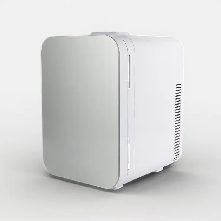 Fabrik OEM Autokühlschrank beliebt 4L 12V 110V-240V tragbar Kühlschrank Mini Kühlschrank für Schönheit Kosmetik Getränke Lebensmittel