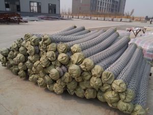 5ft nhiệt điều trị <span class=keywords><strong>PVC</strong></span> tráng Chuỗi liên kết hàng rào trang trí kim cương lưới vải trên bán giá rẻ giá với 3D mô hình dịch vụ - Product Image 2