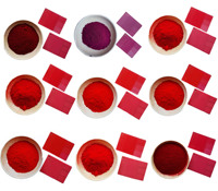 Pigment Organique Orange 64 Orange Permanent GP Importé d'Allemagne K2960/GP Orange K2890/2G Orange Teinte Rouge