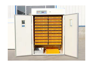 1056 5280 trứng nở thông minh thế hệ tiếp theo đa mục đích lồng ấp trứng và lồng ấp - Product Image 3