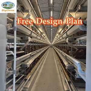 Gallinero, Jaula <span class=keywords><strong>de</strong></span> Acero Galvanizado para Gallinas Ponedoras, Jaula para Pollos <span class=keywords><strong>de</strong></span> Engorde, Jaula Automática para Pollos - Buscando Distribuidores y Agentes Globales - Product Image 3