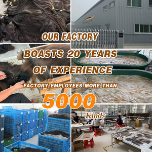 Capelli Umani Vergini Birmani Grezzi Non Trattati, Ciocche Naturali da Singolo Donatore Cambogiano, 100% Allineati alla Cuticola - Product Image 5