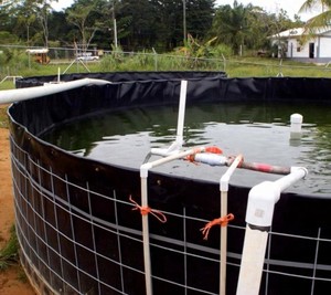 Geomembrana Ecológica de LDPE/HDPE para Revestimiento de Estanques, 0.3-1.0mm, para Acuicultura, <span class=keywords><strong>Precio</strong></span> de Fábrica - Product Image 4