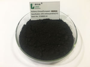 Longze bubuk ekstrak murbei larut dalam air yang baik dengan Anthocyanidins 25%, anthocyanin 1-25% - Product Image 2