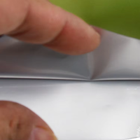 Op maat gemaakte groene verpakkingspapieren zakken, zelfdichtende aluminium zakken, composiet zakken met ritssluiting voor gedroogd fruit.