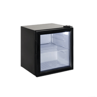 Mini-réfrigérateur de terrasse 52L pour dégustation de vins, refroidisseur de boissons, livraison directe