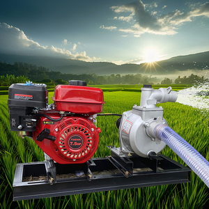 <span class=keywords><strong>Bomba</strong></span> de agua centrífuga autocebante de 1 pulgada SU-25 de salida de fábrica para riego agrícola con polea - Product Image 5