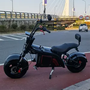 하이브리드 모터 전기 도시 자전거 60V12A 리튬 배터리 전자 자전거 유럽 창고 고출력 빠른 Fatbike 전기 수론 자전거