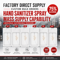 Spray désinfectant pour les mains antibactérien personnalisé, logo personnalisé, parfum, marque privée, à base d'alcool, 500 ml, portable, séchage rapide, 3 ans