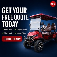 Carrito de Golf Eléctrico de 4 Plazas, Motor de CA de 4.0kW, Autonomía de 80-100KM, Vehículo de Baja Velocidad Homologado para Calle, Venta al por Mayor OEM ODM
