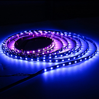 Programable DC12V 24V Ws2818 RGB DIGITAL Tira de luces LED Direccionable Tira de luces de cinta LED
