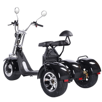 Scooter électrique à trois roues en alliage d'aluminium étanche avec moteur brushless 1500W, capacité de charge 200kg, télécommande
