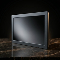 Moniteur LCD IPS de 19,5 pouces avec interface DVI (60 Hz) - Moniteur pour jeux et PC (écran tactile en option)