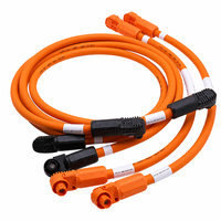 Ensemble de faisceaux de câbles haute tension pour véhicules électriques EVR-125 1500V 70mm² 125 ° Connecteurs TPE de type C, OEM personnalisés pour pack de batteries, moteur, ESS