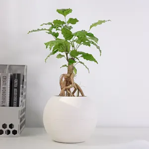 2024 New Design Spherical/Round Planter Indoor Plastic Plant Pot For Herbs Bonsai And Flowers With Water Indicator