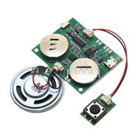 Module de son enregistrable Puce sonore programmable pour carte de voeux Carte vocale de charge USB pour jouets Cadeaux créatifs