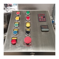 Machine à double mélangeur de cuisson planétaire durable en acier inoxydable 304 grande capacité pour la fabrication de sauce chili et de pâte de curry