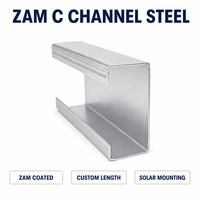 Profilé en C en acier zinc-aluminium-magnésium C100x50 pour structure de montage solaire photovoltaïque, testé en atmosphère salée, revêtement auto-réparateur