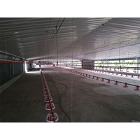 Structure légère en acier préfabriquée vache cochon poulet cheval chèvre hangar ferme maison grange élevage de volailles conception de bâtiment stable