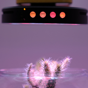 Opcom trong nhà quang phổ đầy đủ tăng trưởng thực vật l09g đèn <span class=keywords><strong>Led</strong></span> nguồn ánh sáng cho cây giống và trồng hoa trang trại sử dụng - Product Image 3