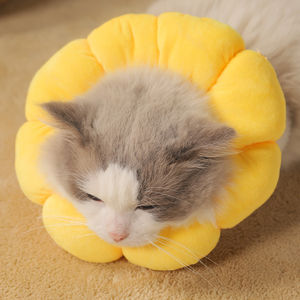Eliza Cute Circle <span class=keywords><strong>Cat</strong></span> <span class=keywords><strong>Collar</strong></span> para mascotas, cubierta de cabeza antiarañazos esterilizada, estilo moderno para perros, pájaros, reptiles - Product Image 4