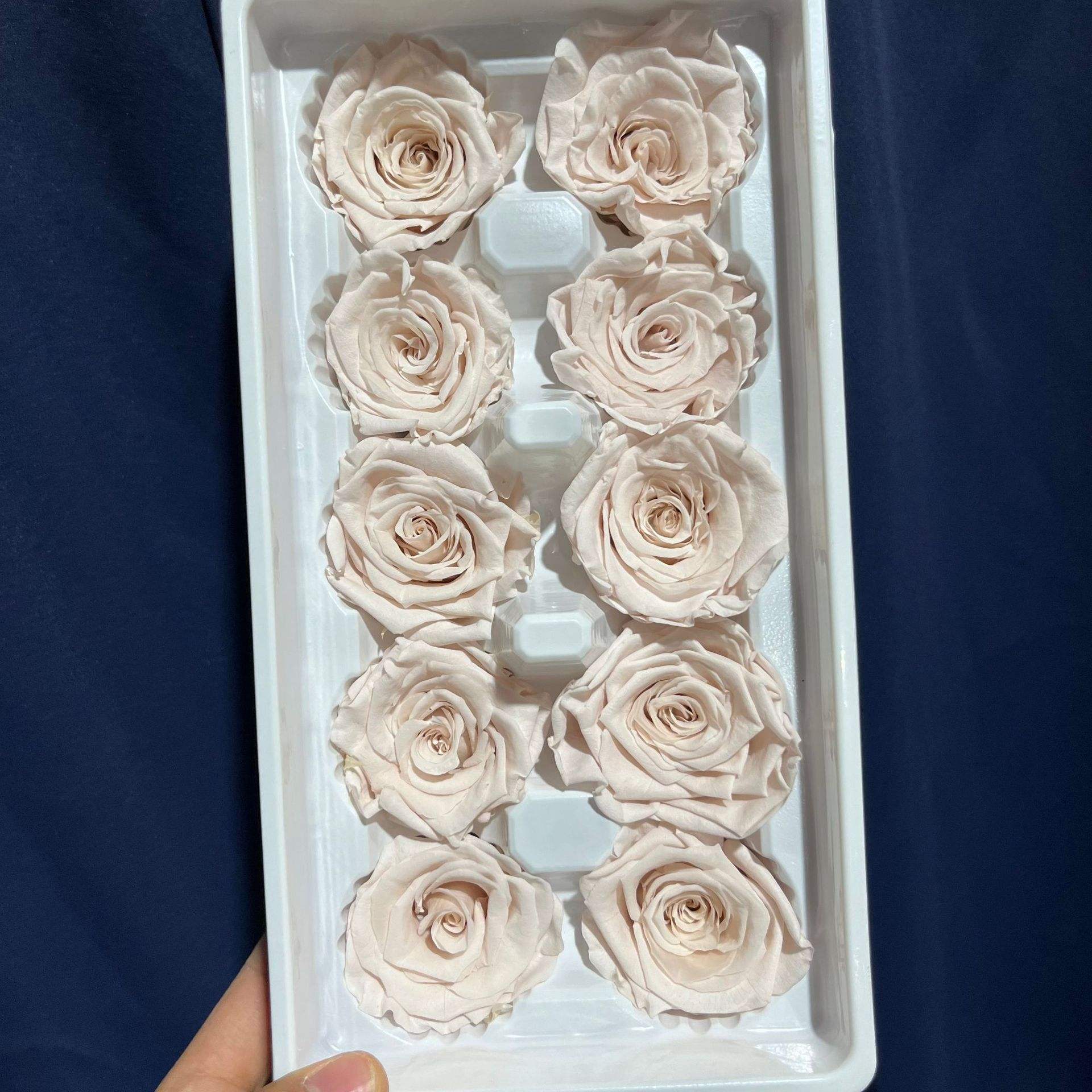 ชมพูอ่อน 1-10/กล่อง