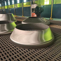 Bouchon d'extrémité conique ASME SA516 Gr70 pour réservoir de fermentation biochimique, 100 % NDE, pour décharge de liquide concentré