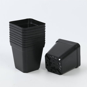 Vasi Quadrati in Plastica Nera da 1 Gallone per Semenzai e Fiori, Vasi in Plastica Nera da 1 Gallone per Semina all'Ingrosso - Product Image 1