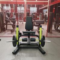 Machine à extensions de jambes professionnelle à charge libre pour entraînement des quadriceps, équipement de fitness pour salle de sport