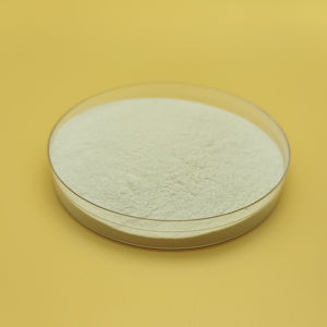 Heetverkopende chitosan met hoge dichtheid tegen fabrieks prijs - Product Image 2