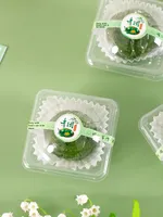 Petite boîte d'emballage en PP verte pour raviolis, pâtisserie au jaune d'œuf salé, gâteau de neige, gâteau de lune, cadeau, couvercle transparent scellé, base