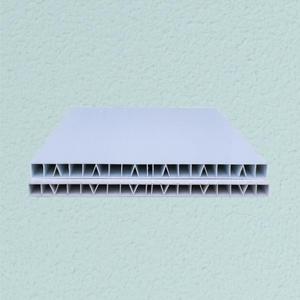 Équipement d'élevage de porcs très demandé : revêtement de sol en PVC, enclos en PVC, clôture en PVC - Product Image 3