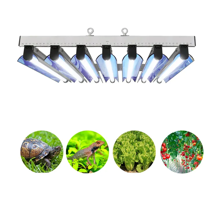 Lampe de croissance des plantes hydroponiques t5 lampe fluorescente réflecteur nanotech 24 pouces EDJ T5 24 watts élèvent la lumière