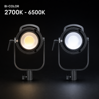 FY-300X 300W Projecteur vidéo LED DMX 512 compatible monture Bowens, température de couleur réglable 2700-6500K, contrôle par application pour YouTube Live