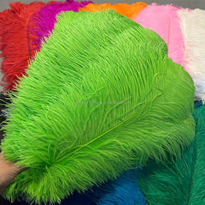 Vente en gros de <span class=keywords><strong>plumes</strong></span> <span class=keywords><strong>d</strong></span>'<span class=keywords><strong>autruche</strong></span> multicolores de 22 à 24 pouces 55 à <span class=keywords><strong>60</strong></span> <span class=keywords><strong>cm</strong></span> pour costumes de carnaval, <span class=keywords><strong>d</strong></span>écoration de fête de mariage, Plumas - Product Image 2