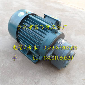 Unidades de Motor de Bomba de Aceite de Engranajes de Accionamiento Directo CB-B16JZ, CB-B20JZ, CB-B25JZ, CB-B32JZ para Bombeo en Campos Petrolíferos - Product Image 1