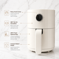 Vente en gros du fabricant : Mini friteuse à air domestique 800W avec coque en plastique blanche et bouton unique, idéale pour les appartements