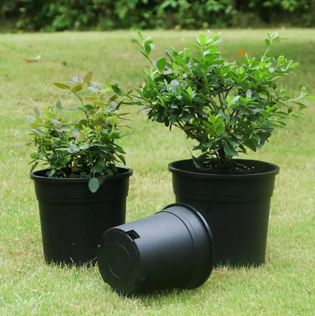 YiCai 0.5 1 1.5 2ガロンラウンドバケット厚くプラスチック植木鉢ガーデンバルコニープランターブラックガロンポット