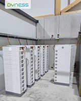 Système de stockage d'énergie commercial Dyness stack314 pour les secteurs commercial et industriel, batterie empilable haute tension 51,2 V 314 Ah 16 kWh 100 kWh 200 kWh LiFePO4 ESS