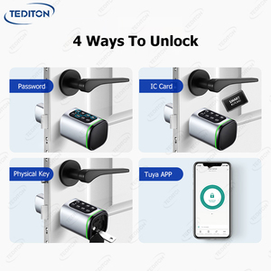 Thông Minh Thông Minh Phong Cách Châu Âu Hợp Kim Kỹ Thuật Số Tuya Mật Khẩu Tự Động Keyless Cửa Khóa Nhà Chốt Cửa Xi Lanh Cửa Khóa - Product Image 6