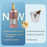 Portable 750ml Champagne Isolateur Double Paroi Isolé Sous Vide Bouteille De Vin Refroidisseur Pas De Glace Nécessaire Vin Refroidisseur Manches