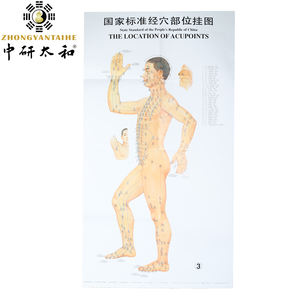 معيار البلد الوخز بالإبر رسومات للجدار جسم الإنسان نقاط الوخز بالإبر ميريديان خريطة تعليم الرسم البياني - Product Image 5