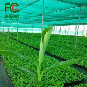 Red de sombra verde HDPE Premium para invernaderos y viveros Red de sombrilla para agricultura Red de sombra para el hogar - Product Image 6