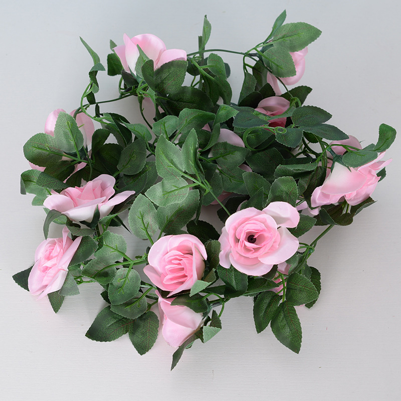 16 têtes de rose rose