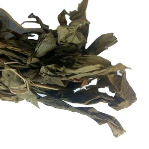 Venta al por Mayor de Hierba Silvestre Natural Seca Entera, Liparis Nervosa, Plantas Twayblade Altas - Product Image 1